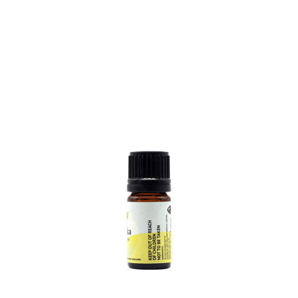 Kānuka Oil - Image 3